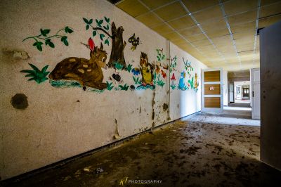 Eine Wand mit einem Rehgemälde und einem Vogel