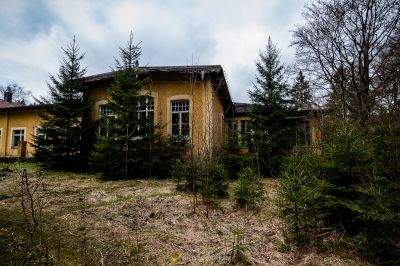 Ein Haus mit vielen Bäumen davor