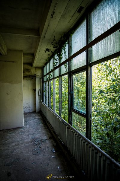 Ein Raum mit einem Fenster und einer Pflanze, die daraus wächst