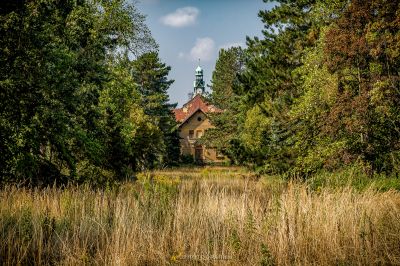 Eine Kirche umgeben von Bäumen und hohem Gras