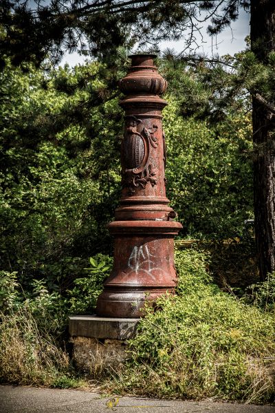 Eine Feuerhydrate, die in der Mitte eines Feldes sitzt