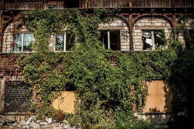 Ein Gebäude mit Reben, die darauf wachsen