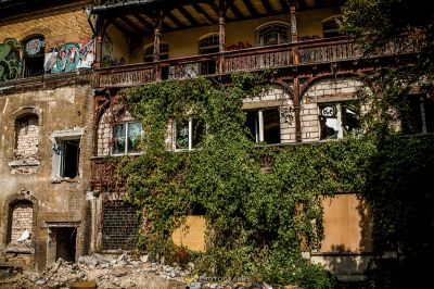 Ein Gebäude mit einem Haufen Bäume, die darauf wachsen