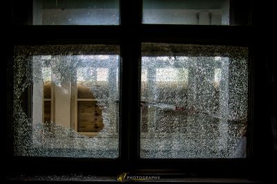 Ein kaputtes Fenster mit einem Hund schaut aus