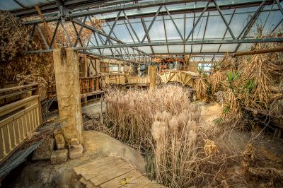 Ein sehr altes Gebäude mit vielen Pflanzen