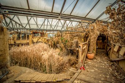 Ein Zimmer mit einem Haufen toter Pflanzen