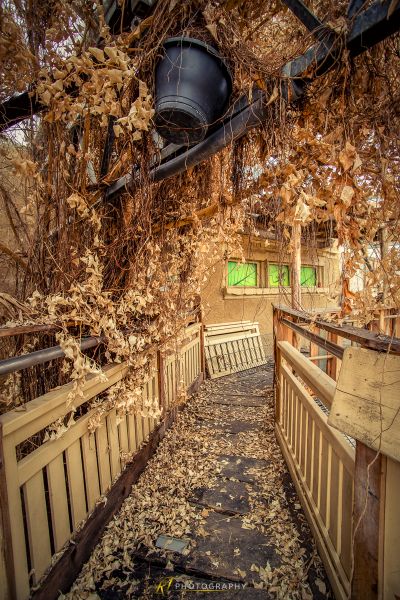 Ein sehr altes Gebäude mit vielen Blättern auf dem Boden