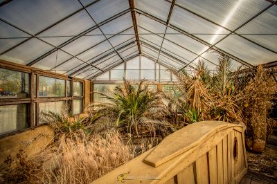 Ein Gewächshaus mit vielen Pflanzen im Inneren