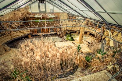 Ein Raum mit vielen Pflanzen und viel Holz