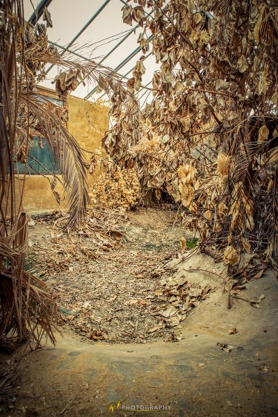 Ein Stapel von Blättern