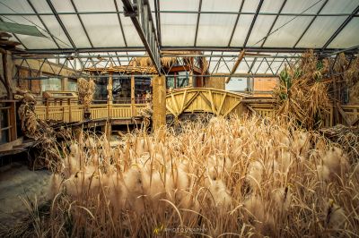 Ein LKW ist in einem Feld von hohem Gras geparkt