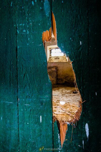 Ein Vogel sitzt am Rand einer hölzernen Tür