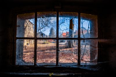 Ein Fenster mit Blick auf einen Wald