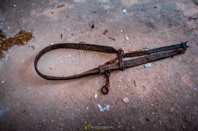 Eine Schere, die auf dem Boden liegt