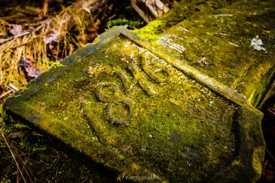 Ein Moos bedeckten Stein