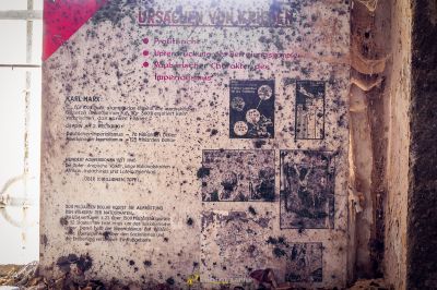 Ein Schild an einer Wand mit einem Blumenstrauß