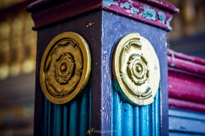 Eine Nahaufnahme einer Blau-Gold-Feuerhydrate