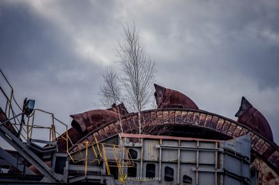 Ein Baum wächst aus einem Müllwagen