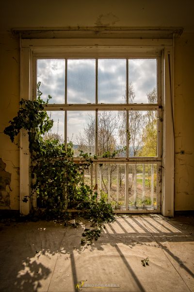 Ein Fenster mit Blick auf ein Feld