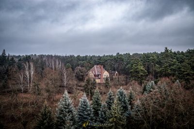 Ein Haus in der Mitte eines Waldes