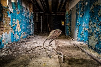 Ein Vogel sitzt auf einem Ast in einem heruntergekommenen Gebäude