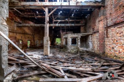 Ein großer Haufen Holz