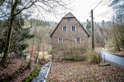 Ein Haus im Wald