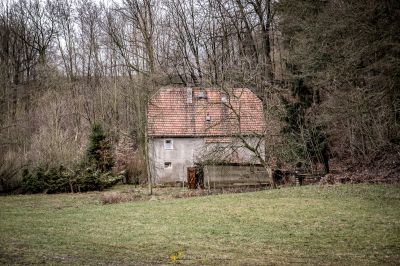 Ein kleines Haus im Wald mit einem Baum im Hintergrund