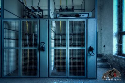 Ein Hund sitzt in einem Käfig in einem Gebäude