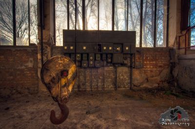 Ein großer Elefant, der in einem schmutzigen Raum steht