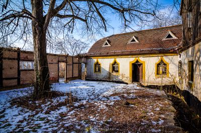 Ein kleines Haus mit einem Baum im Hof