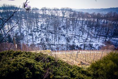 Ein schneebedeckter Hügel