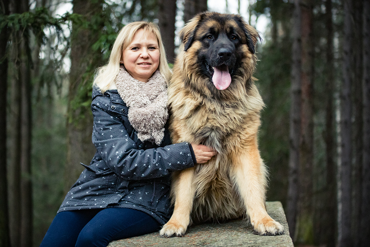 Eine Frau, die auf einem Felsen mit einem großen Hund sitzt
