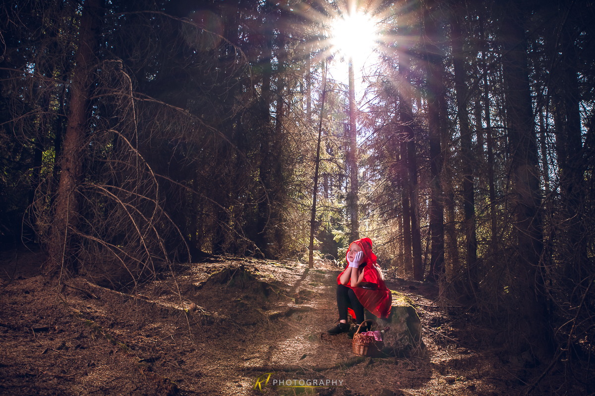 Eine Person in einer roten Jacke, die auf einem Felsen im Wald sitzt